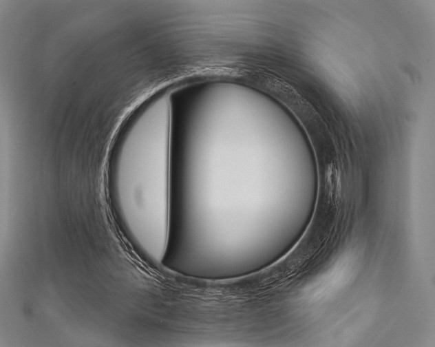 X0000111420388200907131024