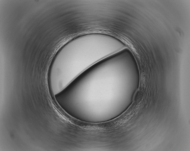 X0000111420389200907131024