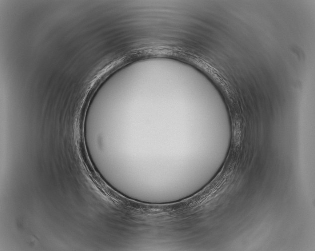 X0000111420390200907131024