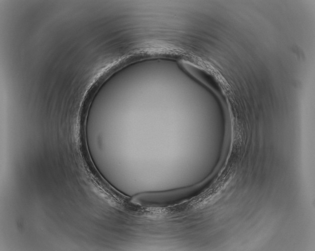 X0000111420391200907131024