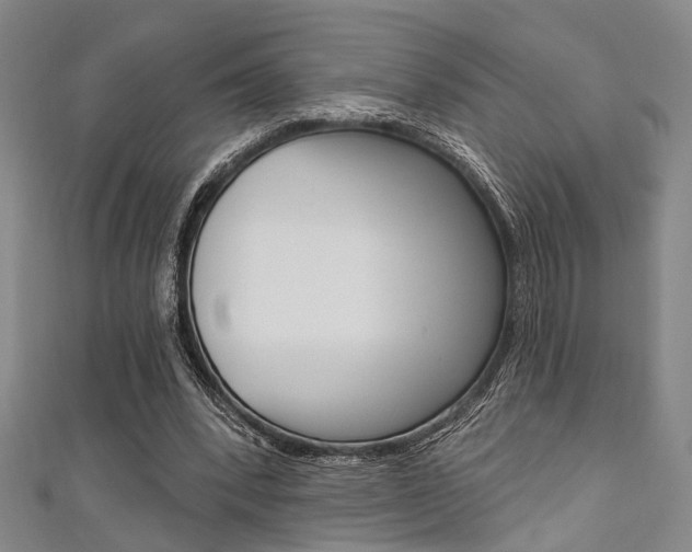 X0000111420392200907131024