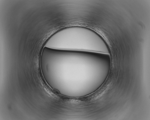 X0000111420393200907131024