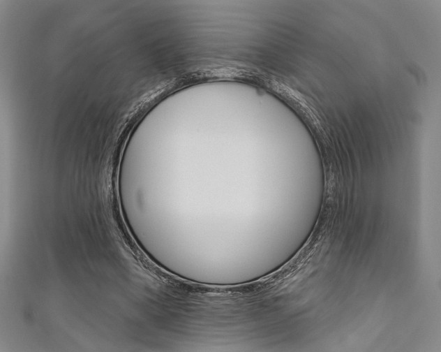 X0000111420394200907131024