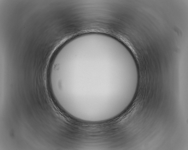 X0000111420395200907131024
