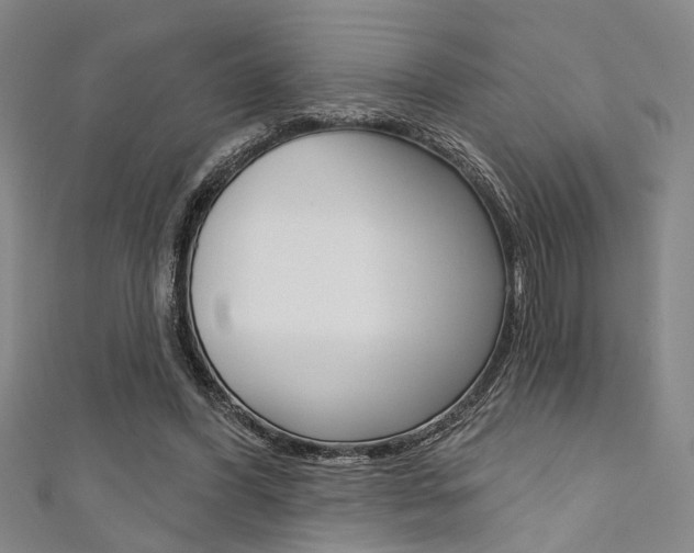 X0000111420396200907131024