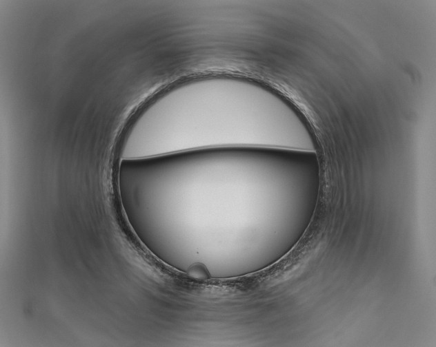 X0000111420399200907131024
