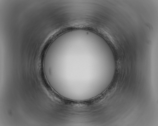 X0000111420400200907131024