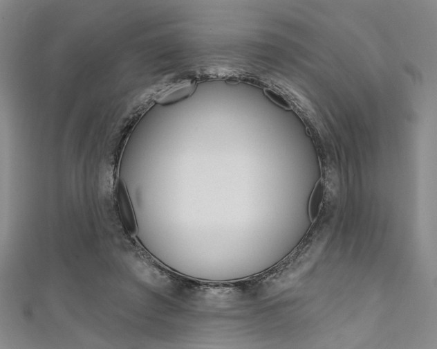 X0000111420401200907131024