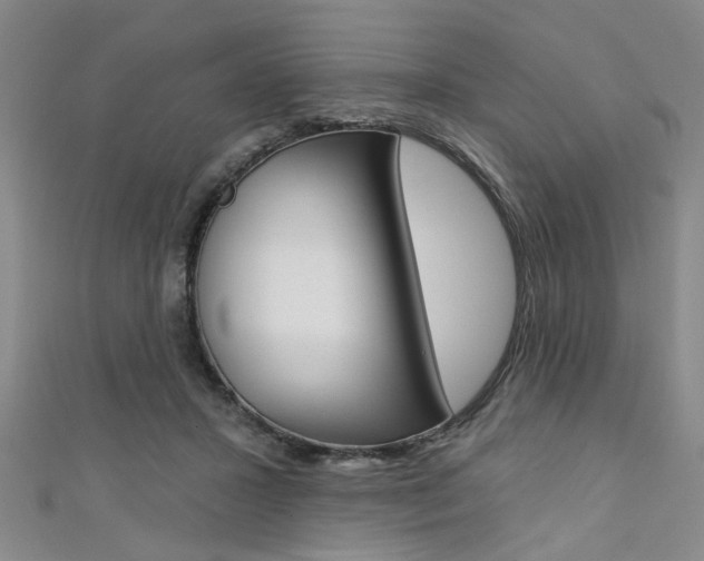 X0000111420407200907131024