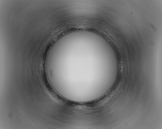 X0000111420408200907131024