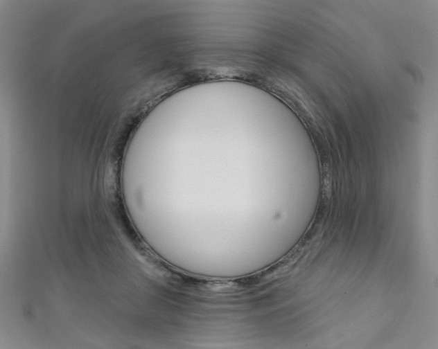 X0000111420410200907131024