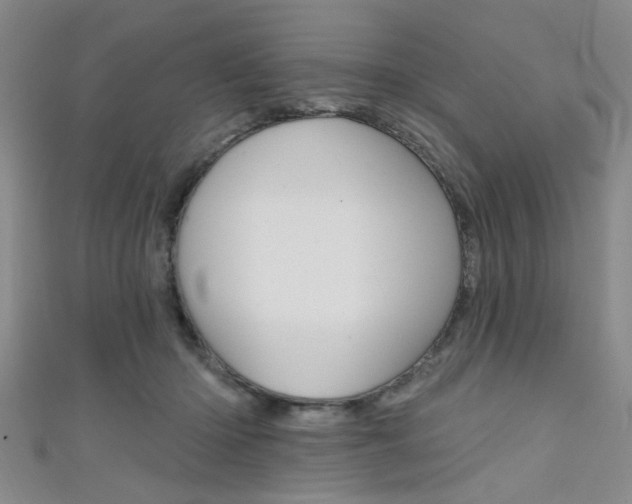 X0000111420414200907131024