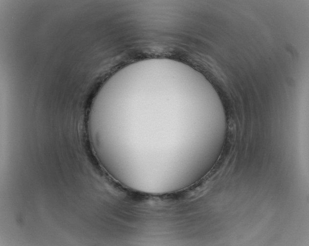 X0000111420416200907131024