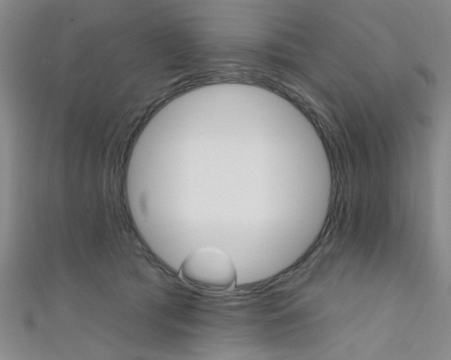 X0000111420417200907131024