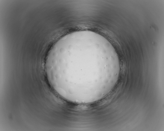 X0000111420418200907131024