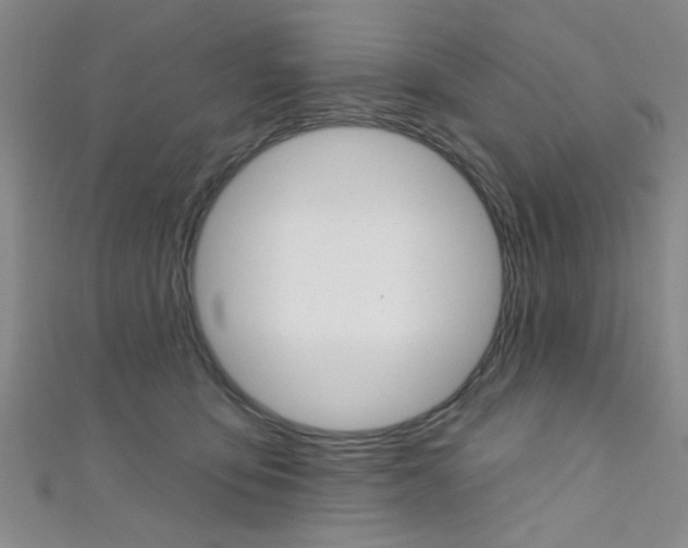 X0000111420419200907131024