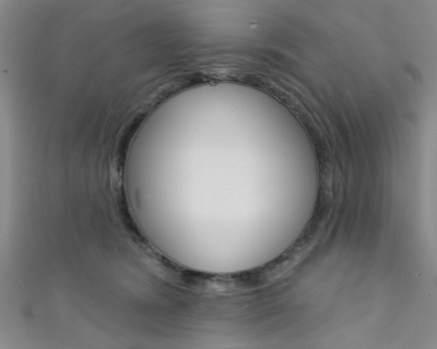 X0000111420420200907131024