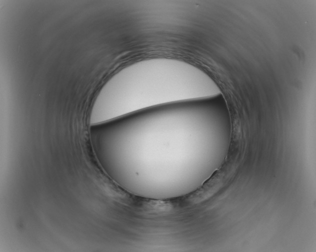 X0000111420421200907131024