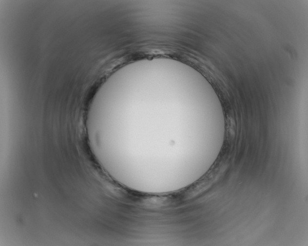 X0000111420422200907131024