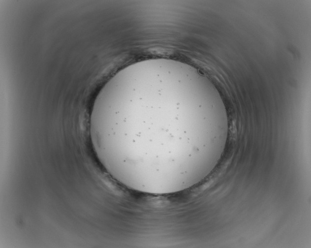 X0000111420424200907131024