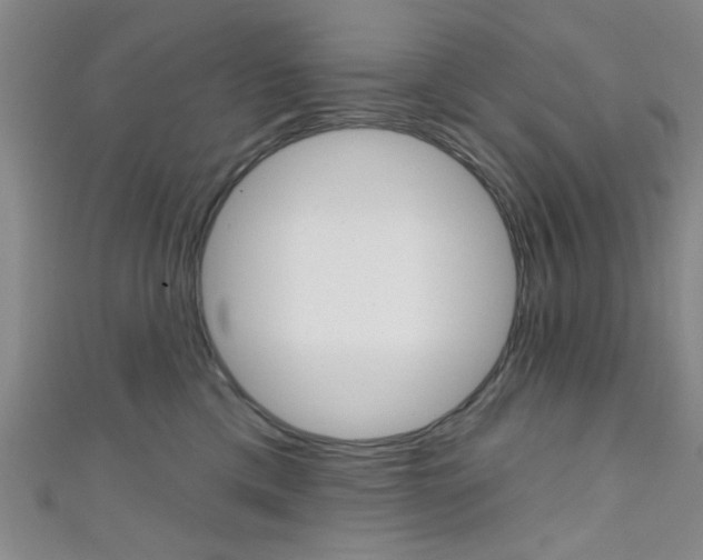 X0000111420425200907131024