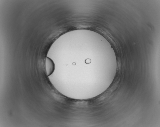 X0000111420426200907131024