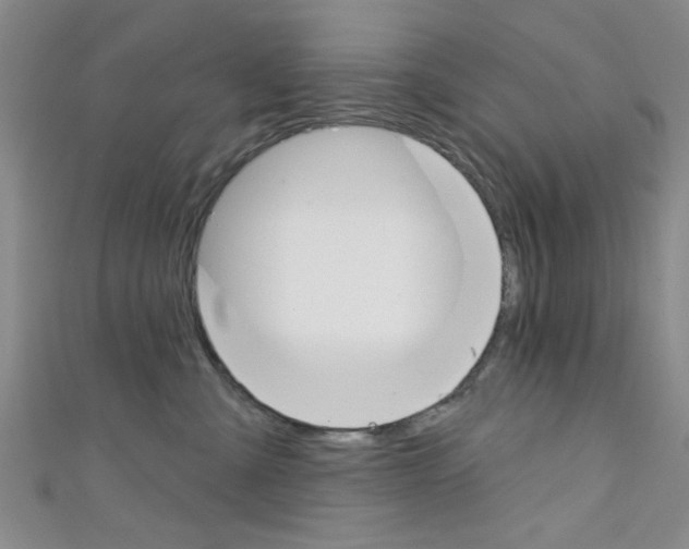 X0000111420427200907131024