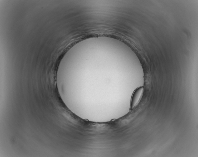 X0000111420428200907131024