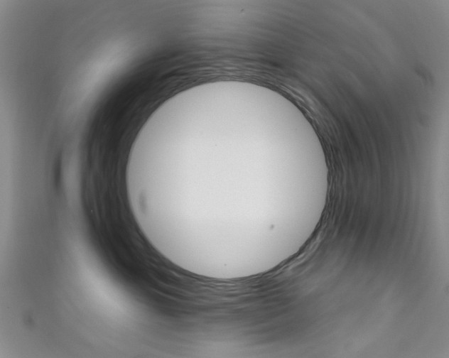 X0000111420429200907131024