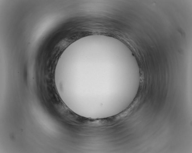 X0000111420430200907131024