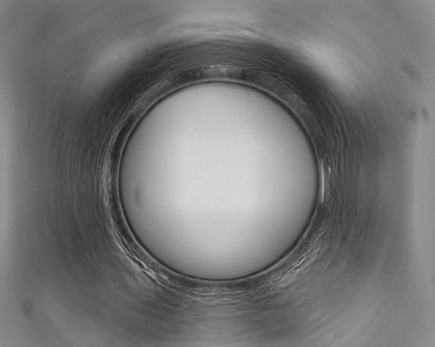 X0000111420435200907131023
