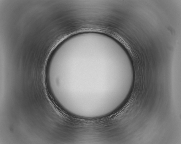 X0000111420436200907131023