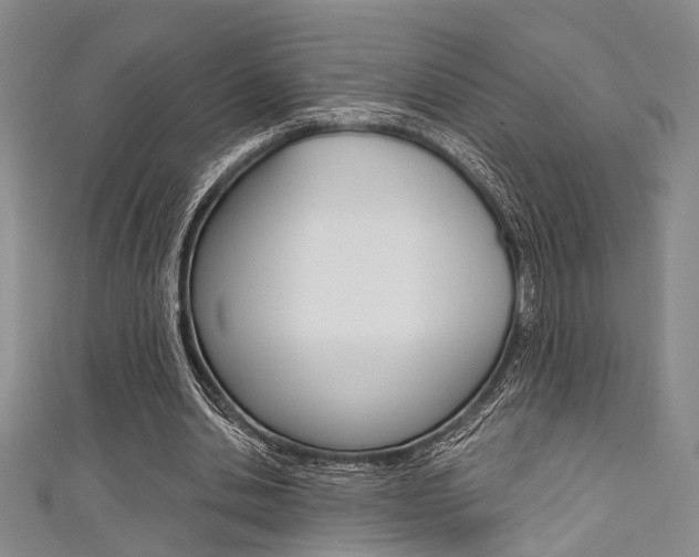 X0000111420438200907131023