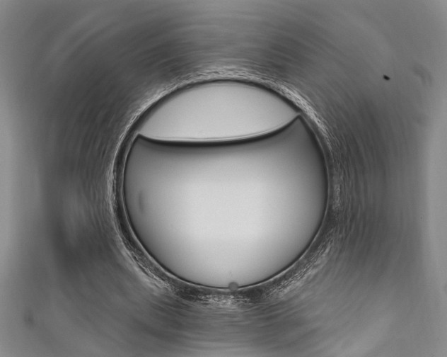 X0000111420439200907131023