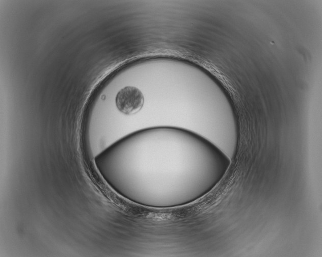X0000111420440200907131023