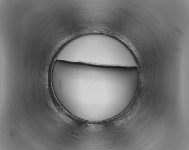 X0000111420442200907131023
