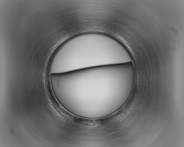X0000111420443200907131023