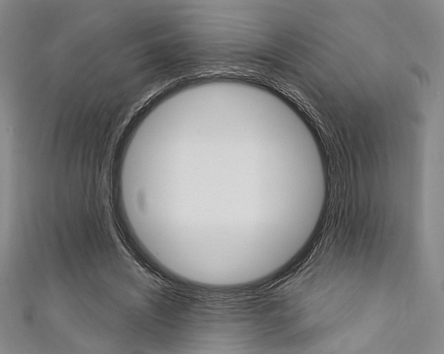 X0000111420444200907131023