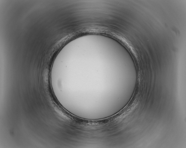 X0000111420445200907131023