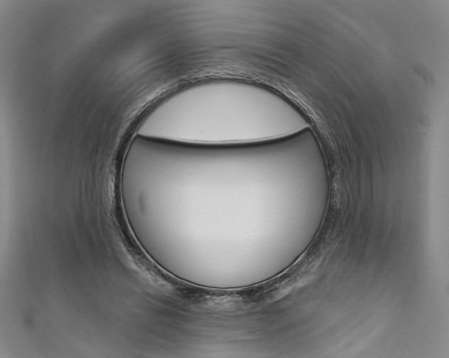 X0000111420446200907131023
