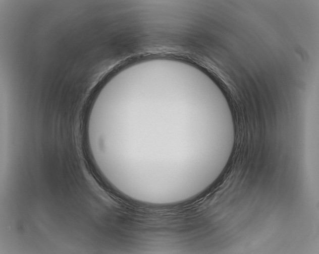 X0000111420448200907131023