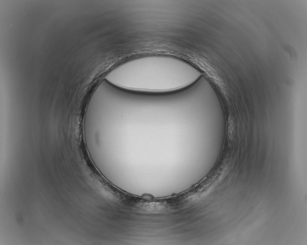 X0000111420449200907131023
