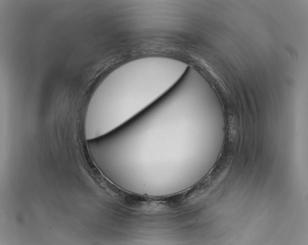 X0000111420451200907131023