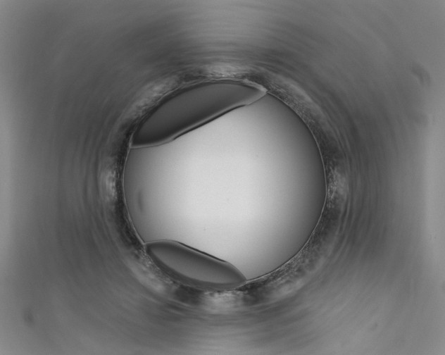 X0000111420452200907131023