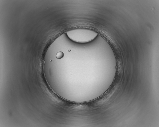 X0000111420453200907131023
