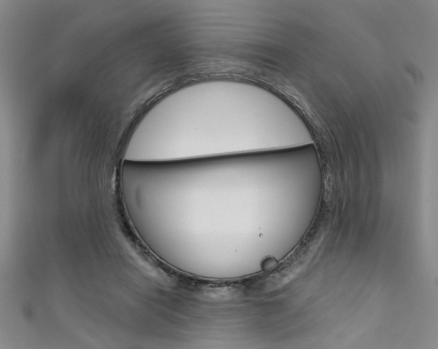 X0000111420454200907131023
