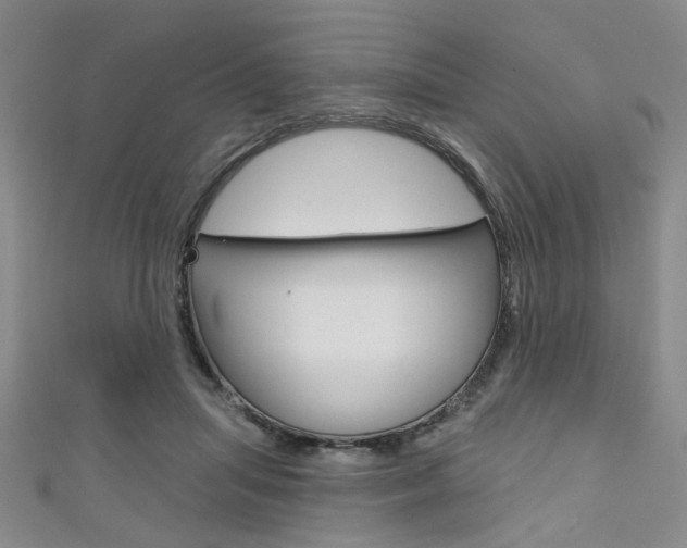 X0000111420455200907131023