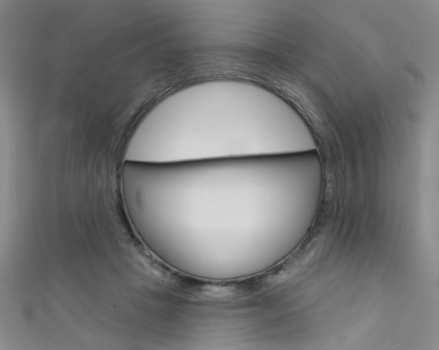 X0000111420457200907131023