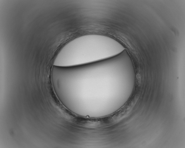 X0000111420458200907131023