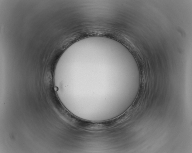 X0000111420459200907131023